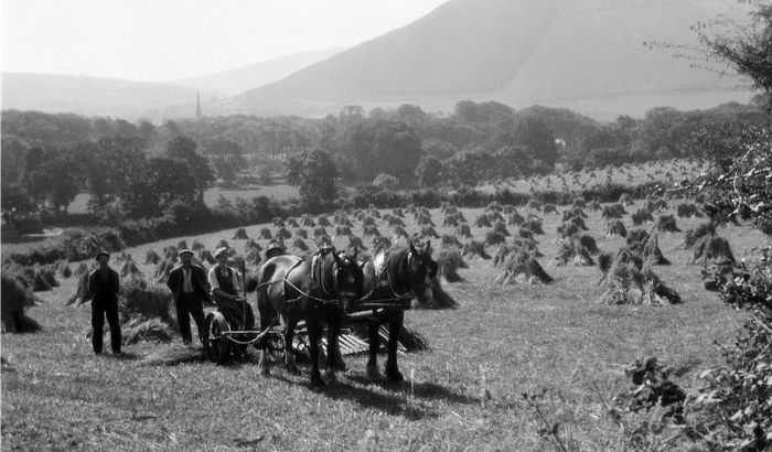 Harvest Scene St Johns. Image Credit Manx National Heritage iMuseum PG/13630/8/017